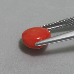 Corallo Color salmone naturale da 2.41 ct, Forma fantasia, Opaco