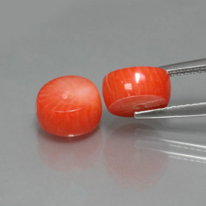 Gemme di corallo salmone naturale da  ct, forma fantasia, opaco