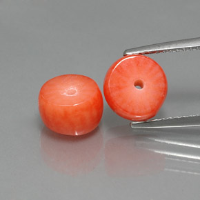 Gemme di Corallo Color salmone naturale da  ct, Forma fantasia, Opaco