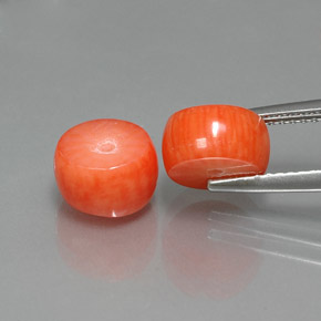 Gemme di Corallo Color salmone naturale da  ct, Forma fantasia, Opaco