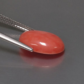 Corallo naturale rosa da 4,05 ct, taglio ovale, opaco