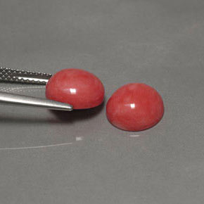 Gemme di Corallo Color salmone naturale da  ct, Taglio rotondo, Opaco