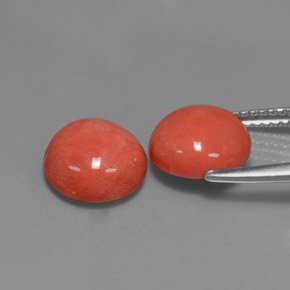 Gemme di Corallo Color salmone naturale da  ct, Taglio rotondo, Opaco