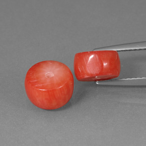 Gemme di Corallo Color salmone naturale da  ct, Forma fantasia, Opaco