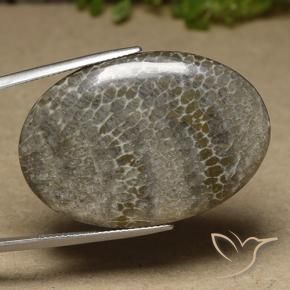 Corallo Multicolore naturale da 41.43 ct, Ovale, Opaco