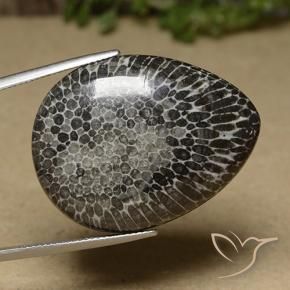 Corallo Multicolore naturale da 46.04 ct, Forma a pera, Opaco