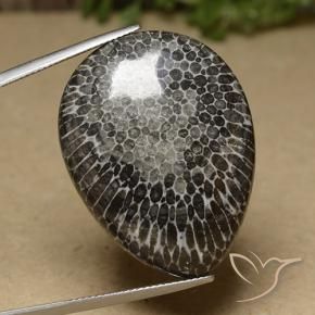 Corallo Multicolore naturale da 46.04 ct, Forma a pera, Opaco
