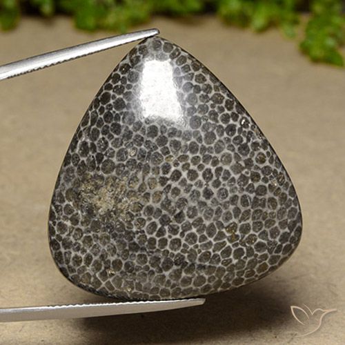 44.83ct Naturale Multicolore Corallo, Forma a pera, Opaco, Photo A