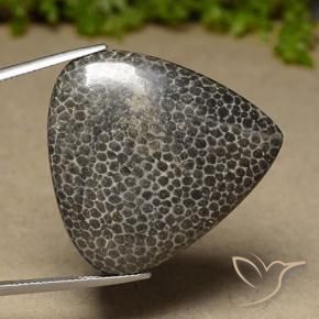 Corallo Multicolore naturale da 44.83 ct, Forma a pera, Opaco