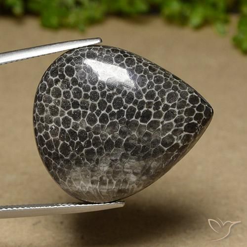Corallo Multicolore naturale da 32.89 ct, Forma a pera, Opaco