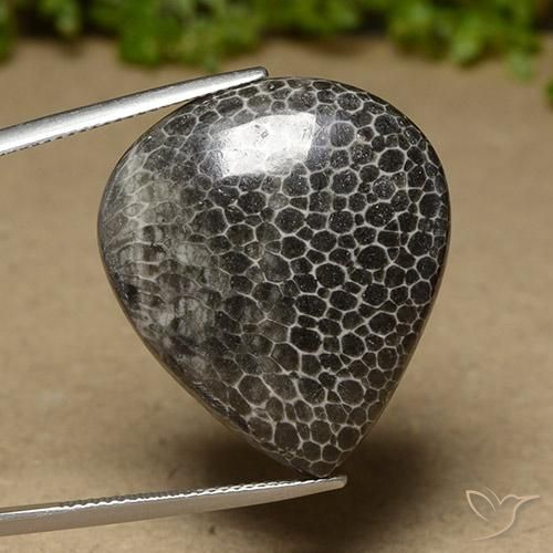 Corallo Multicolore naturale da 32.89 ct, Forma a pera, Opaco
