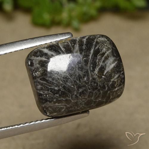 Corallo Multicolore naturale da 11.07 ct, Cuscino, Opaco