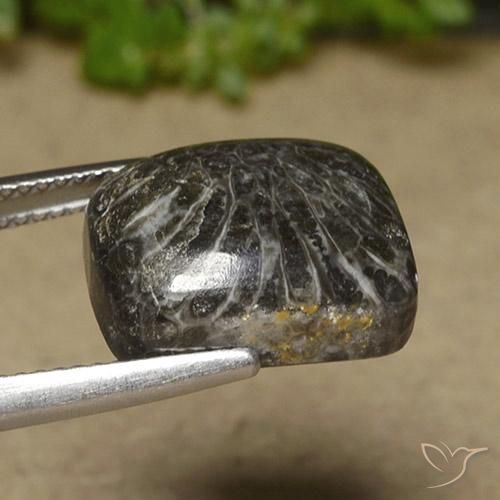 Corallo Multicolore naturale da 11.07 ct, Cuscino, Opaco
