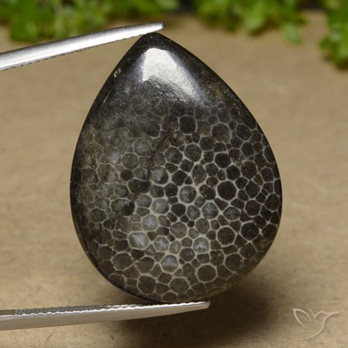 Corallo Multicolore naturale da 21.35 ct, Forma a pera, Opaco