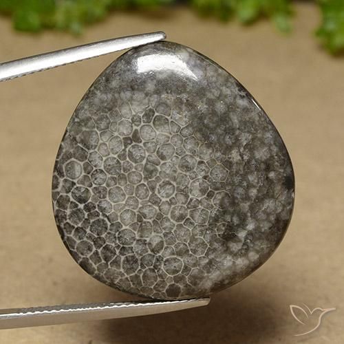 27.41ct Naturale Multicolore Corallo, Forma a pera, Opaco