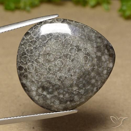 Corallo Multicolore naturale da 27.41 ct, Forma a pera, Opaco