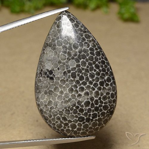 39.93ct Naturale Multicolore Corallo, Forma a pera, Opaco