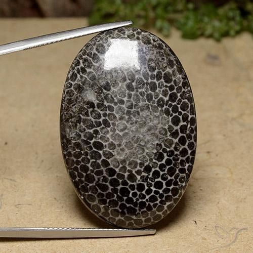 43.96ct Naturale Multicolore Corallo, Ovale, Opaco