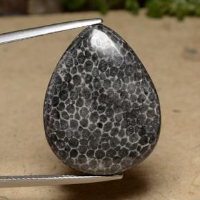 Corallo Multicolore naturale da 22.48 ct, Forma a pera, Opaco