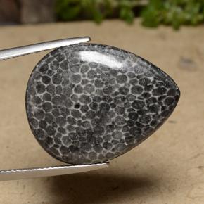 Corallo Multicolore naturale da 22.48 ct, Forma a pera, Opaco