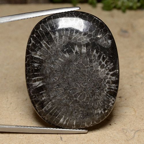 39.77ct Naturale Multicolore Corallo, Cuscino, Opaco