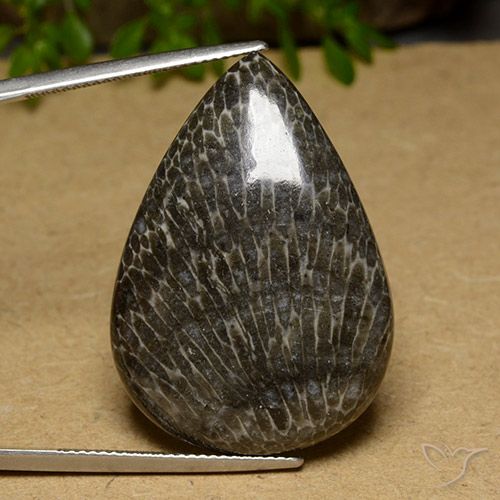 34.89ct Naturale Multicolore Corallo, Forma a pera, Opaco