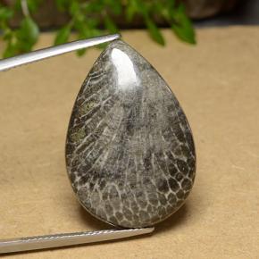 Corallo Multicolore naturale da 20.56 ct, Forma a pera, Opaco