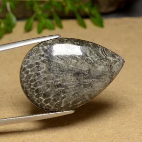 Corallo Multicolore naturale da 20.56 ct, Forma a pera, Opaco