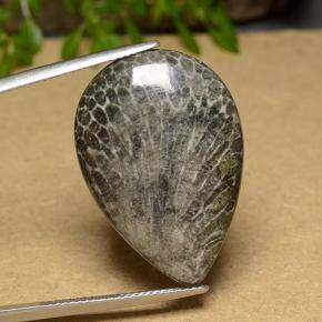 Corallo Multicolore naturale da 20.56 ct, Forma a pera, Opaco