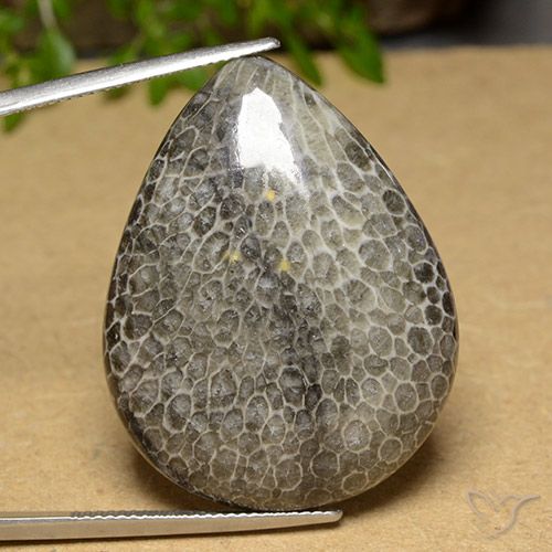 45.60ct Naturale Multicolore Corallo, Forma a pera, Opaco