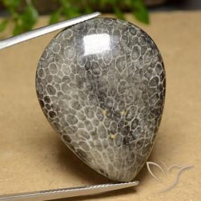 Corallo Multicolore naturale da 45.60 ct, Forma a pera, Opaco