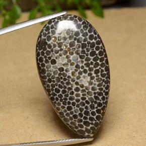 Corallo Multicolore naturale da 26.37 ct, Forma a pera, Opaco