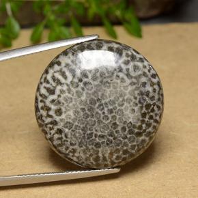 Corallo naturale multicolore da 30,46 ct, taglio rotondo, opaco