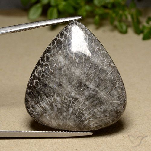 42.36ct Naturale Multicolore Corallo, Forma a pera, Opaco