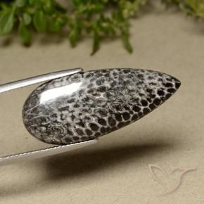 Corallo Multicolore naturale da 21.91 ct, Forma a pera, Opaco