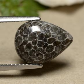 Corallo Grigio naturale da 2.93 ct, Forma a pera, Opaco