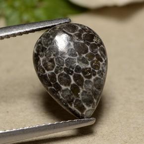 Corallo Grigio naturale da 2.93 ct, Forma a pera, Opaco