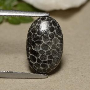 Corallo naturale grigio da 2,44 ct, taglio ovale, opaco