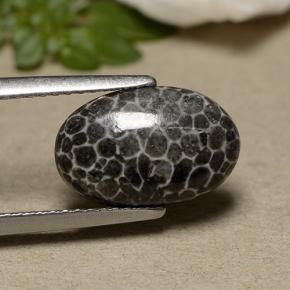 Corallo naturale grigio da 2,44 ct, taglio ovale, opaco