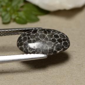Corallo naturale grigio da 2,44 ct, taglio ovale, opaco