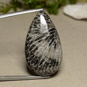 Corallo naturale grigio da 24,91 ct, taglio a pera, opaco