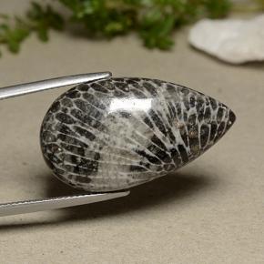 Corallo naturale grigio da 24,91 ct, taglio a pera, opaco