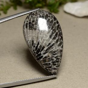 Corallo naturale grigio da 24,91 ct, taglio a pera, opaco
