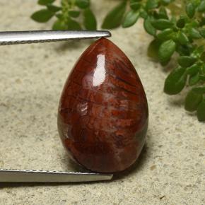 Corallo Multicolore naturale da 7.90 ct, Forma a pera, Opaco