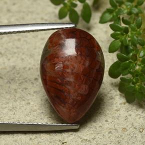 Corallo Multicolore naturale da 7.90 ct, Forma a pera, Opaco