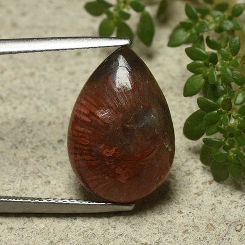 7.03ct Naturale Multicolore Corallo, Forma a pera, Opaco, Photo A