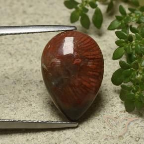Corallo Multicolore naturale da 7.03 ct, Forma a pera, Opaco