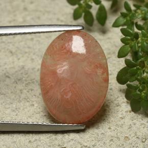Corallo naturale multicolore da 6,55 ct, taglio ovale, traslucido
