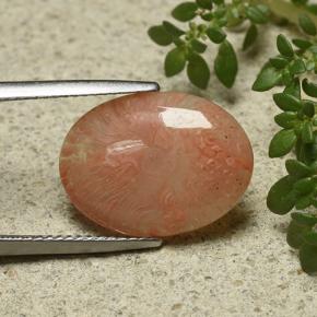 Corallo naturale multicolore da 6,55 ct, taglio ovale, traslucido