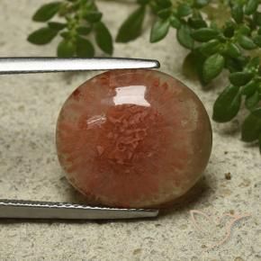 Corallo Multicolore naturale da 9.34 ct, Ovale, Traslucido
